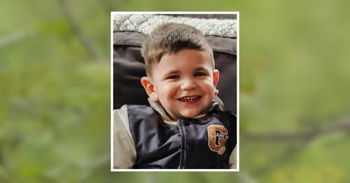 Luca Rose Obituary, Saratoga County, NY Death - Family And Friends Mourns A Loss